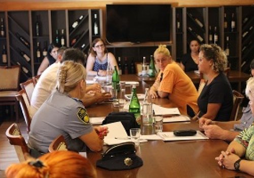 Osiguranje provođenja kvalitetnih mjera zaštite od nasilja u porodici