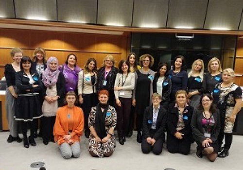 Annual Colloquium on Fundamental Rights 2017