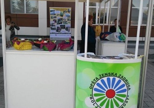 Green Economy in Bosnia and Herzegovina