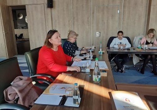 A Platform for the improvement of the rights and status of Roma women in Bosnia and Herzegovina